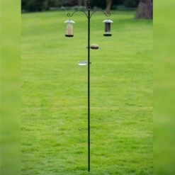 Tom Chambers - Everyday Bird Station