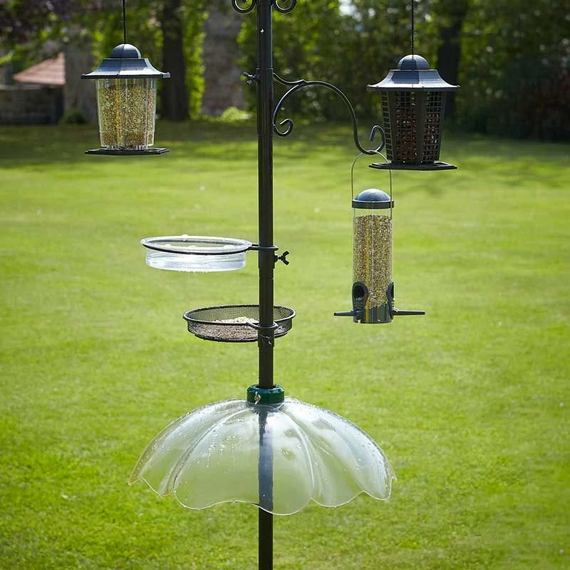 Tom Chambers - Squirrel Baffle - Image 2