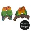 Vivid Arts Real Life Birds - Exotic Bird Garden Ornament