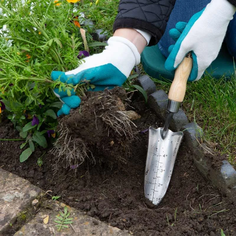 Wilkinson Sword - Stainless Steel Hand Transplanter - Image 2